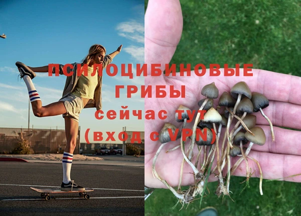 а пвп мука Нефтегорск